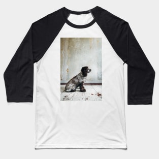 Profile of Cocker Spaniel Sitting in Shabby Apartment Baseball T-Shirt